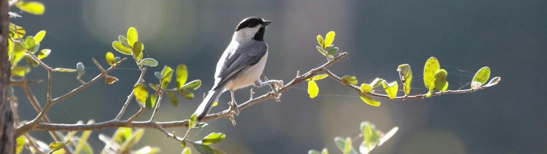 Jarní únava po zimě